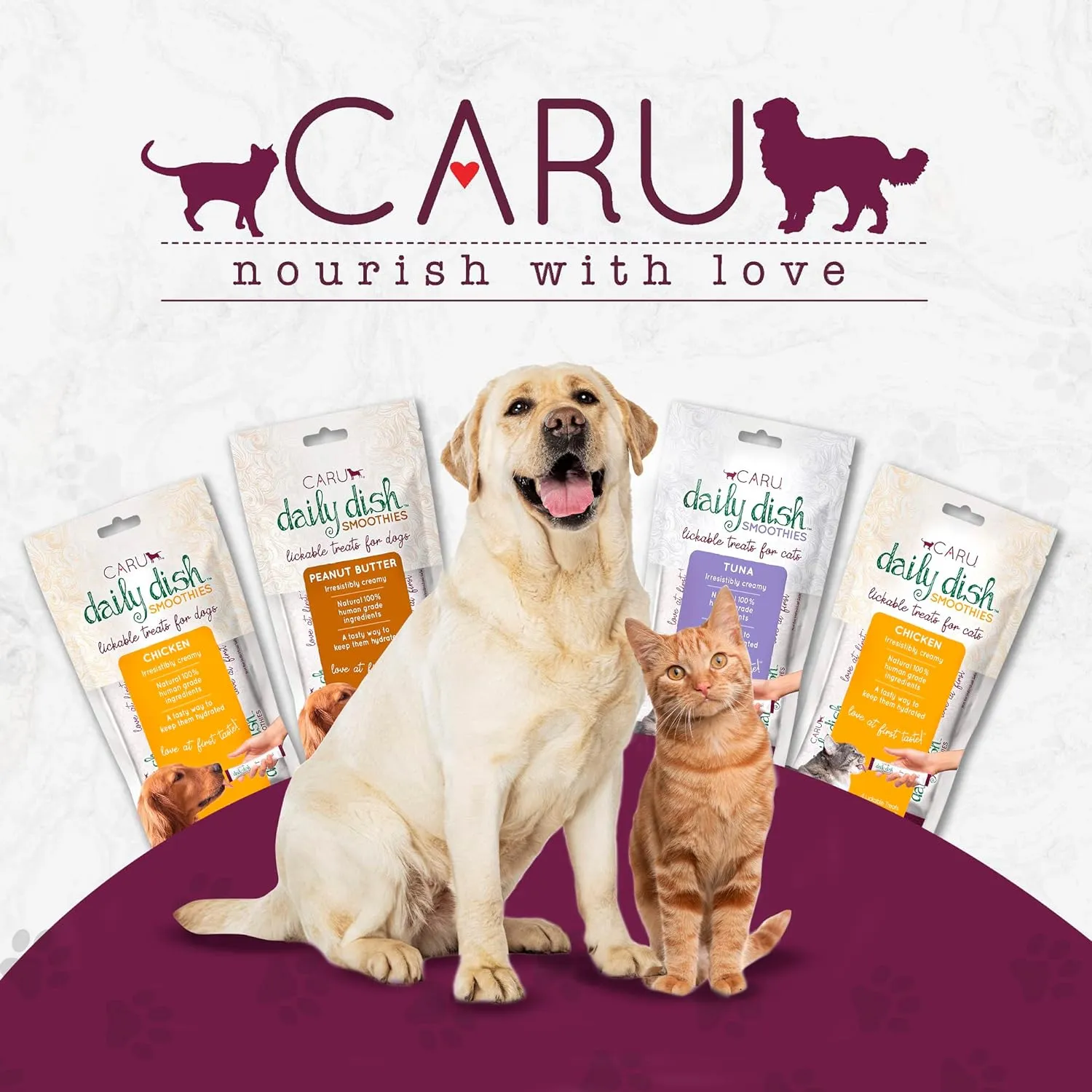 Caru - Daily Dish Smoothies - Lickable Tuna & Salmon Cat Treat - 4 Pouches per Pack - Pack of 12