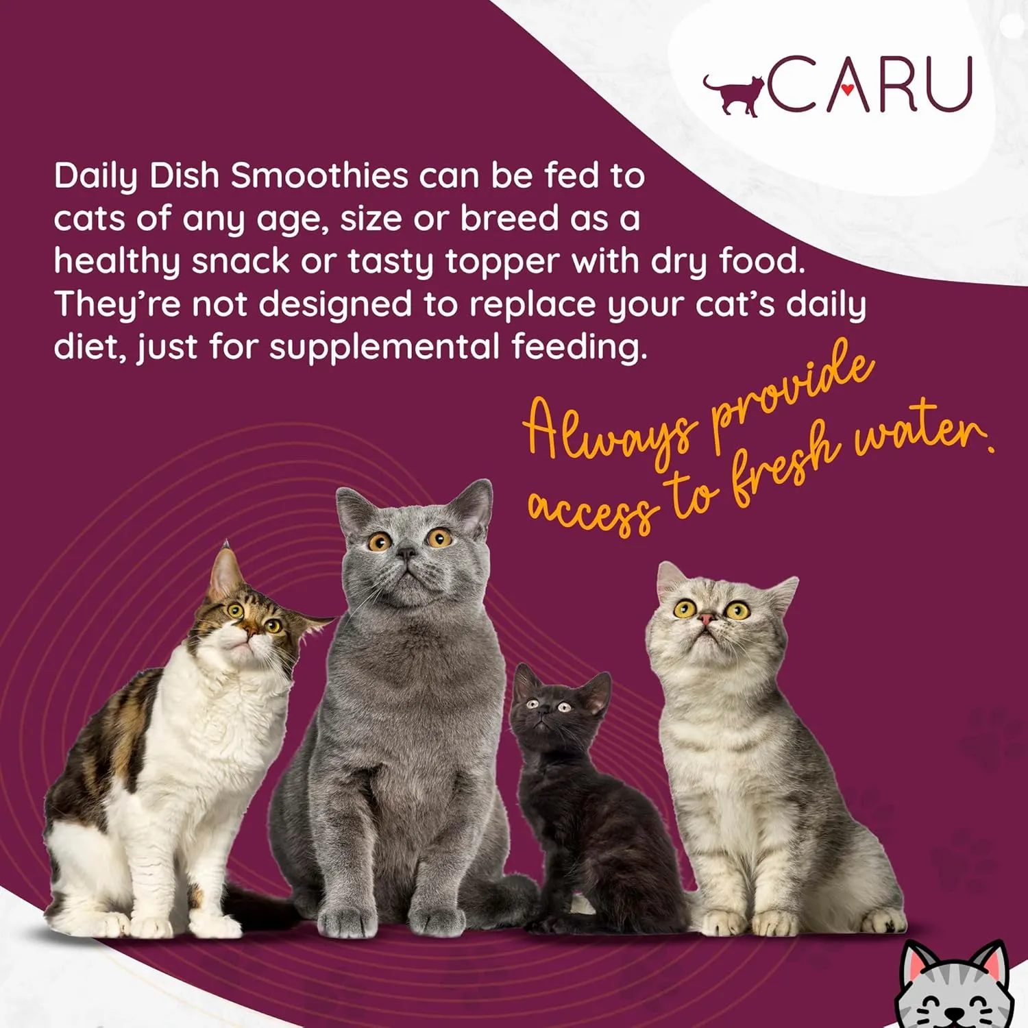 Caru - Daily Dish Smoothies - Lickable Tuna & Salmon Cat Treat - 4 Pouches per Pack - Pack of 12