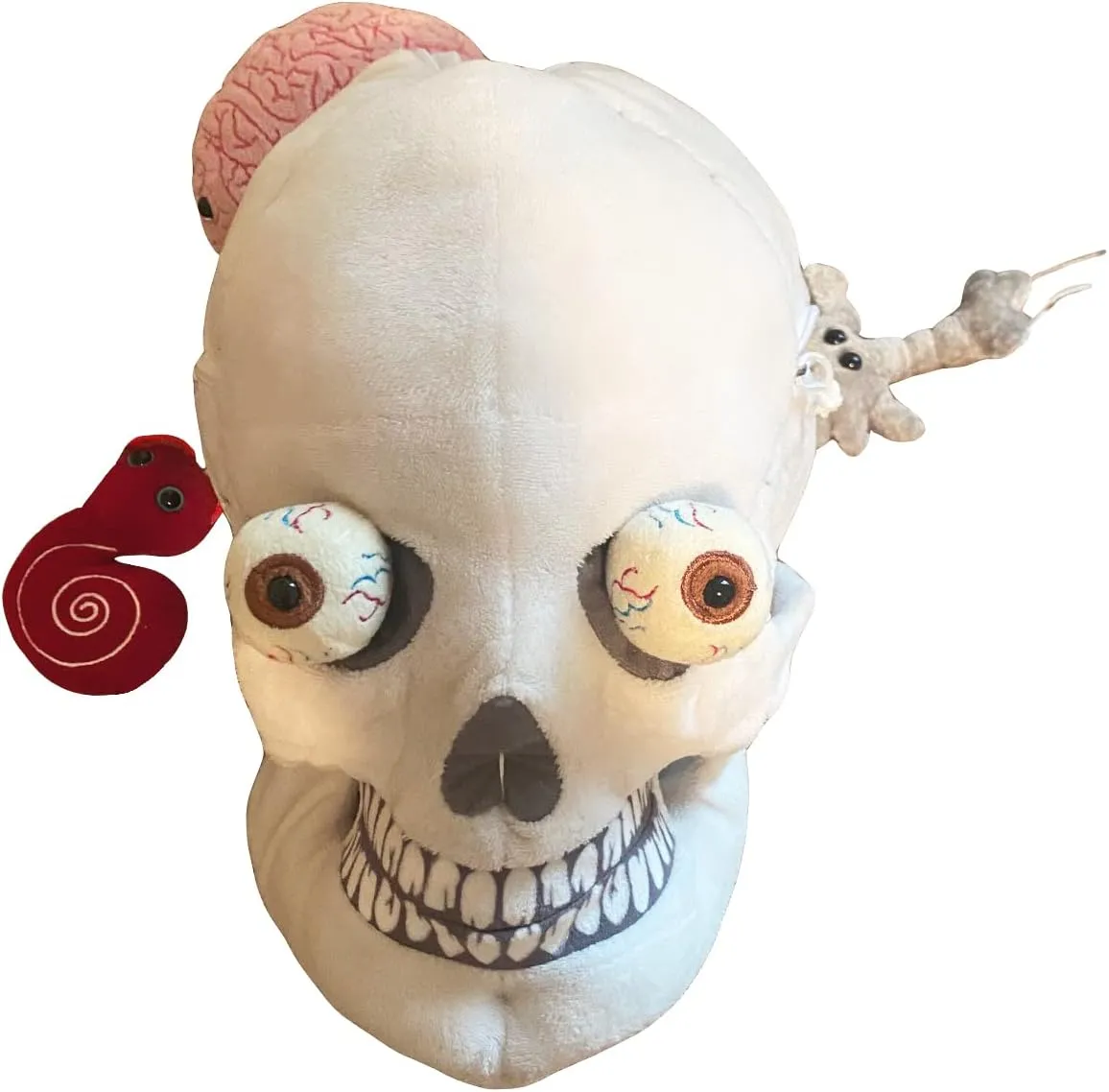 GIANTmicrobes Deluxe Skull with Hidden Organs Plush, Skull Plush, Anatomical Skull Gift, Halloween Skull Decor, Anatomy Skull, Human Skull Model Plushie, Skull Anatomy Model, Skull Pillow, Skull Toy