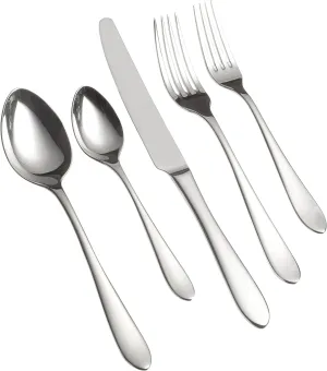 Ginkgo International Linden 20-Piece Stainless Steel Flatware Place Setting, Service for 4