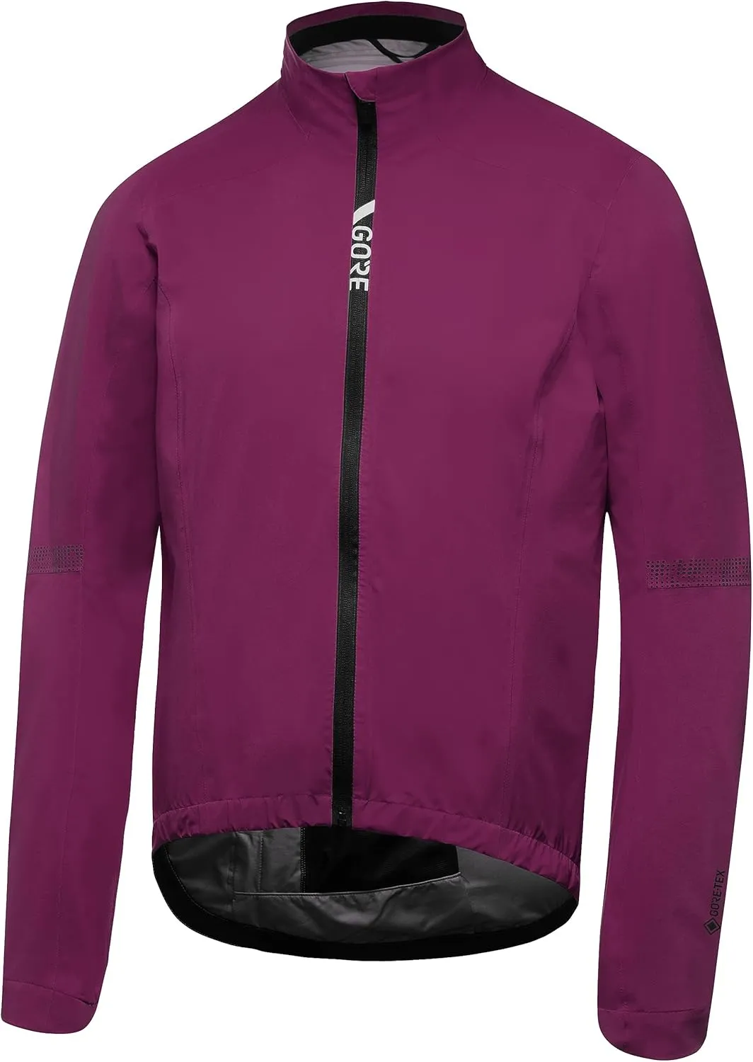 GORE WEAR Men's Standard Torrent Jacket