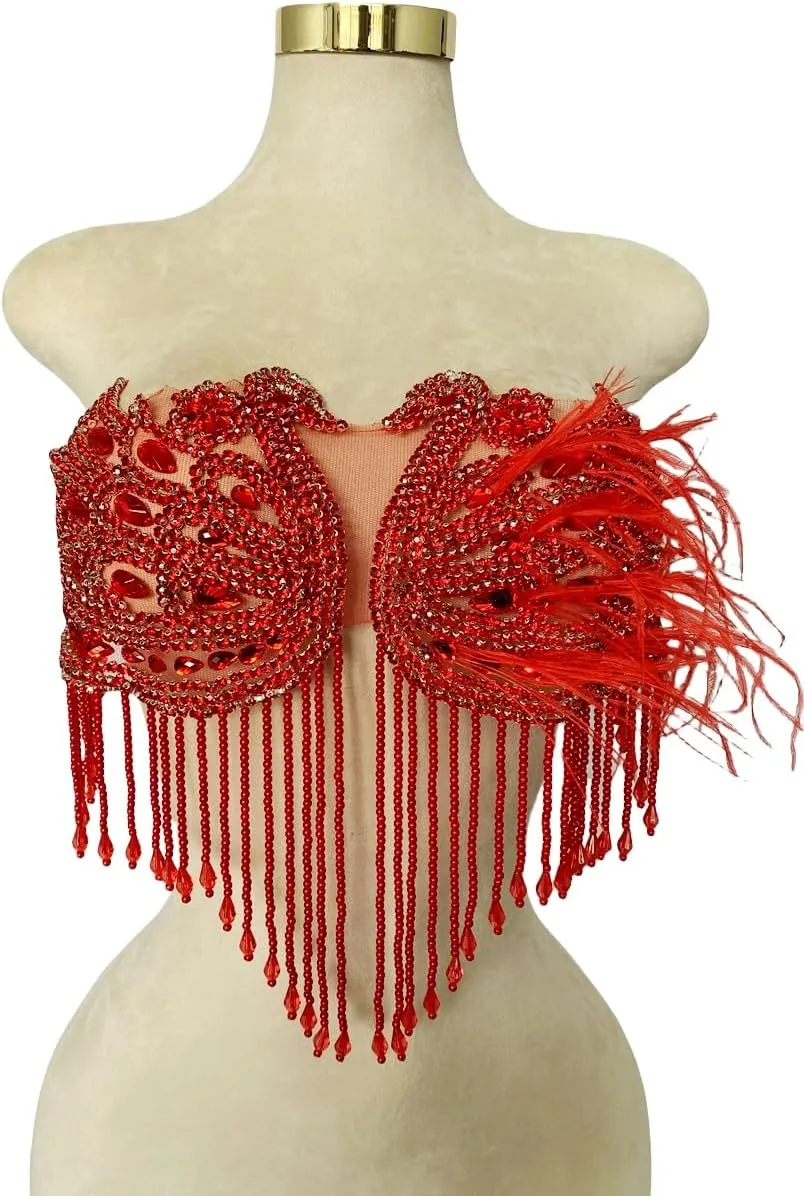 Handmade Sewing Beads Trim Swan Shape Patches Rhinestones Bodice Applique with Ostrich Feather Decoration Shining Dress Clothing Accessories 16X12.5inches (Red)