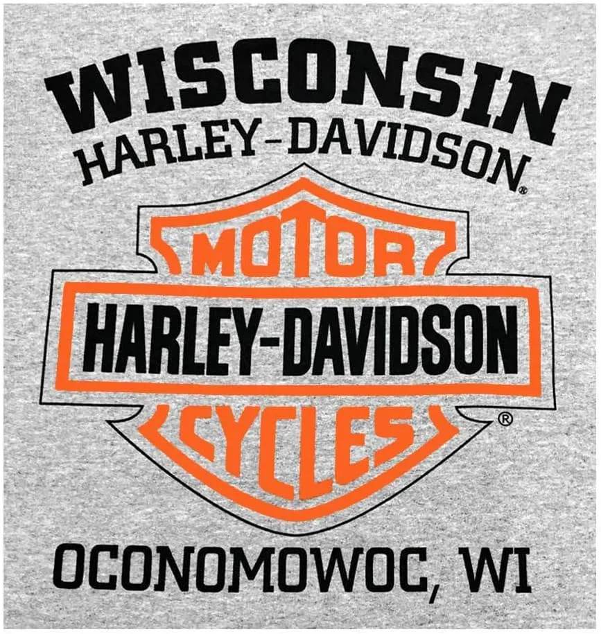 Harley-Davidson Men's Shirt, Willie G Skull Long Sleeve Tee, Gray 30296651