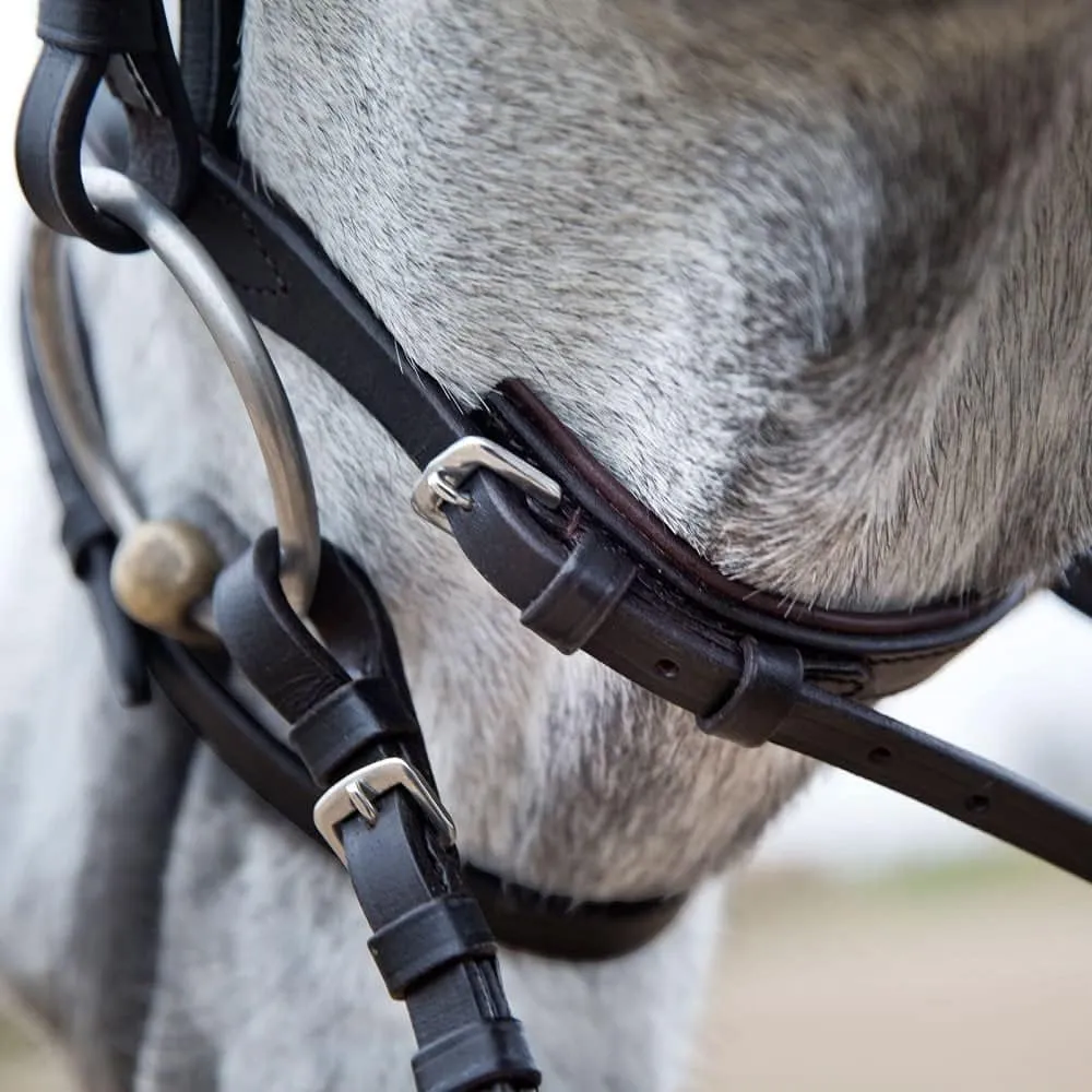 HORZE Weston Padded Leather Snaffle Bridle with Flash Noseband and Web Reins | English Bridle for Horses