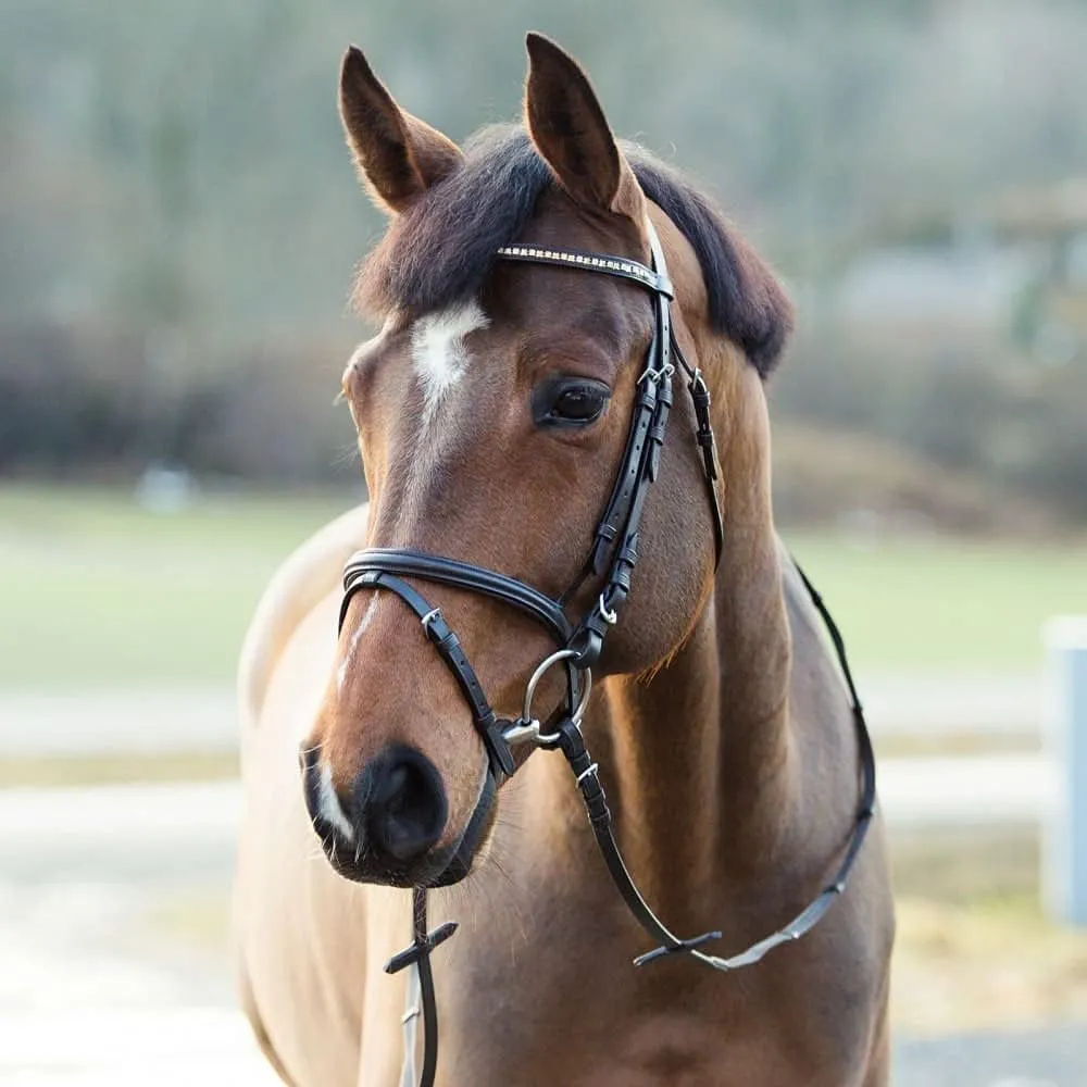 HORZE Weston Padded Leather Snaffle Bridle with Flash Noseband and Web Reins | English Bridle for Horses