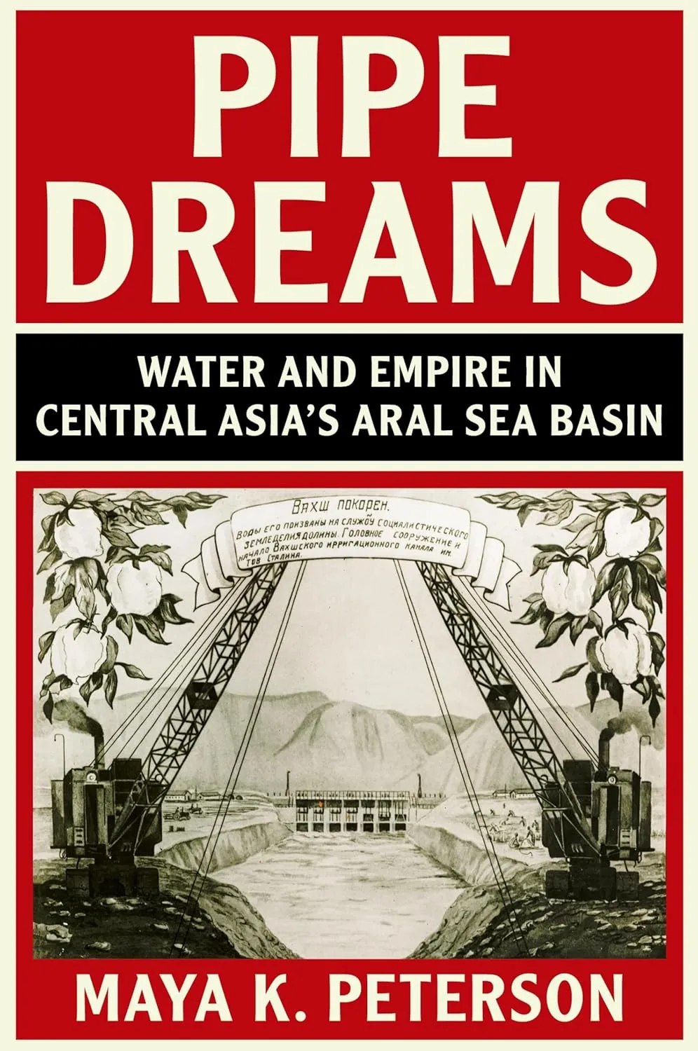 Pipe Dreams (Studies in Environment and History) Reprint Edition