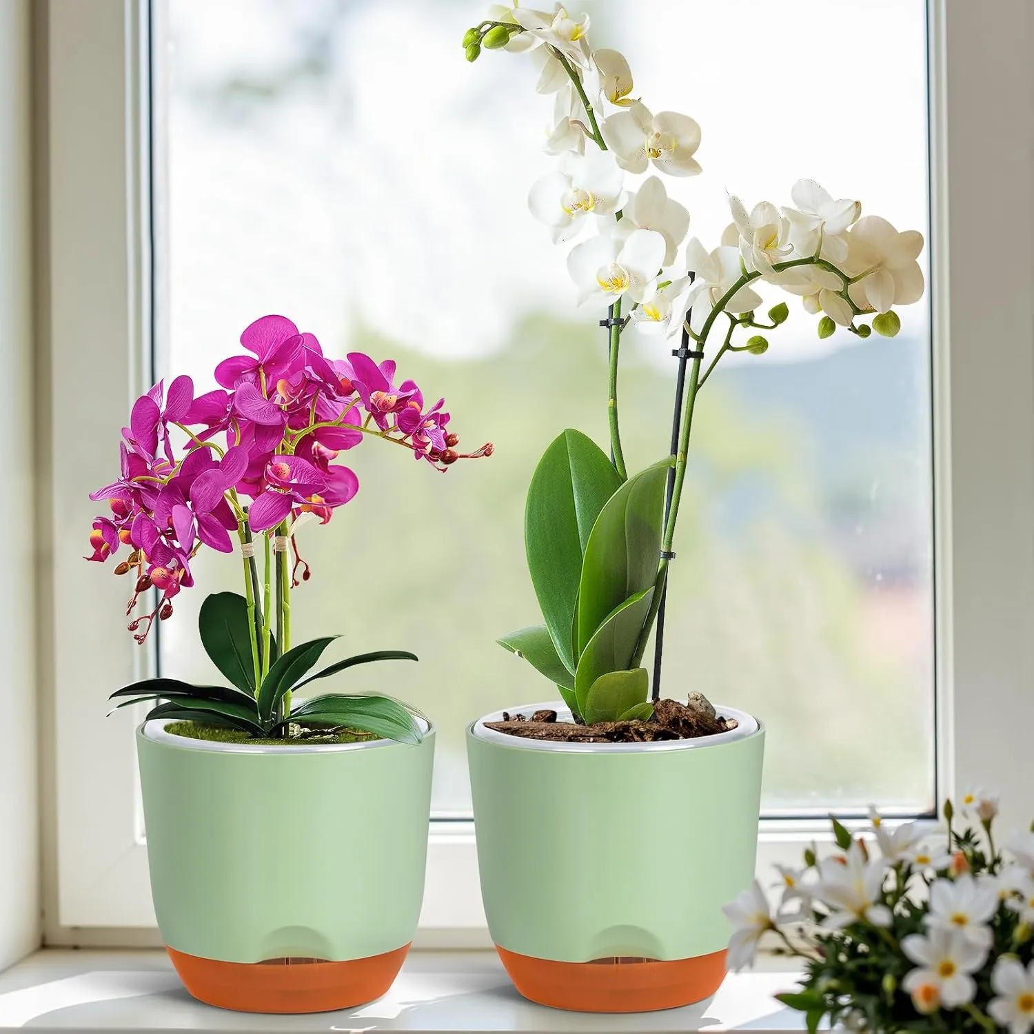QCQHDU 2 Pack Orchid Pots with Holes for Repotting, Double-Layer and Self Watering Orchid Pot with Good Air Circulation