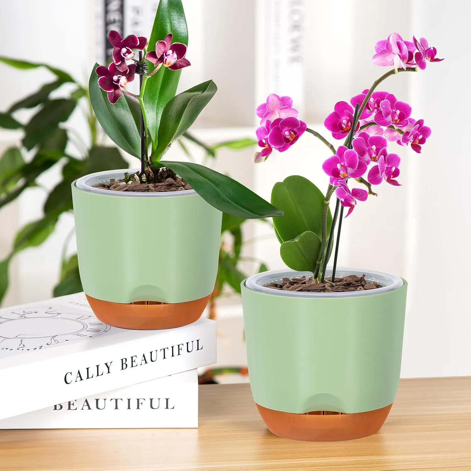 QCQHDU 2 Pack Orchid Pots with Holes for Repotting, Double-Layer and Self Watering Orchid Pot with Good Air Circulation
