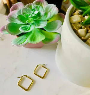 "Unadorned" earrings