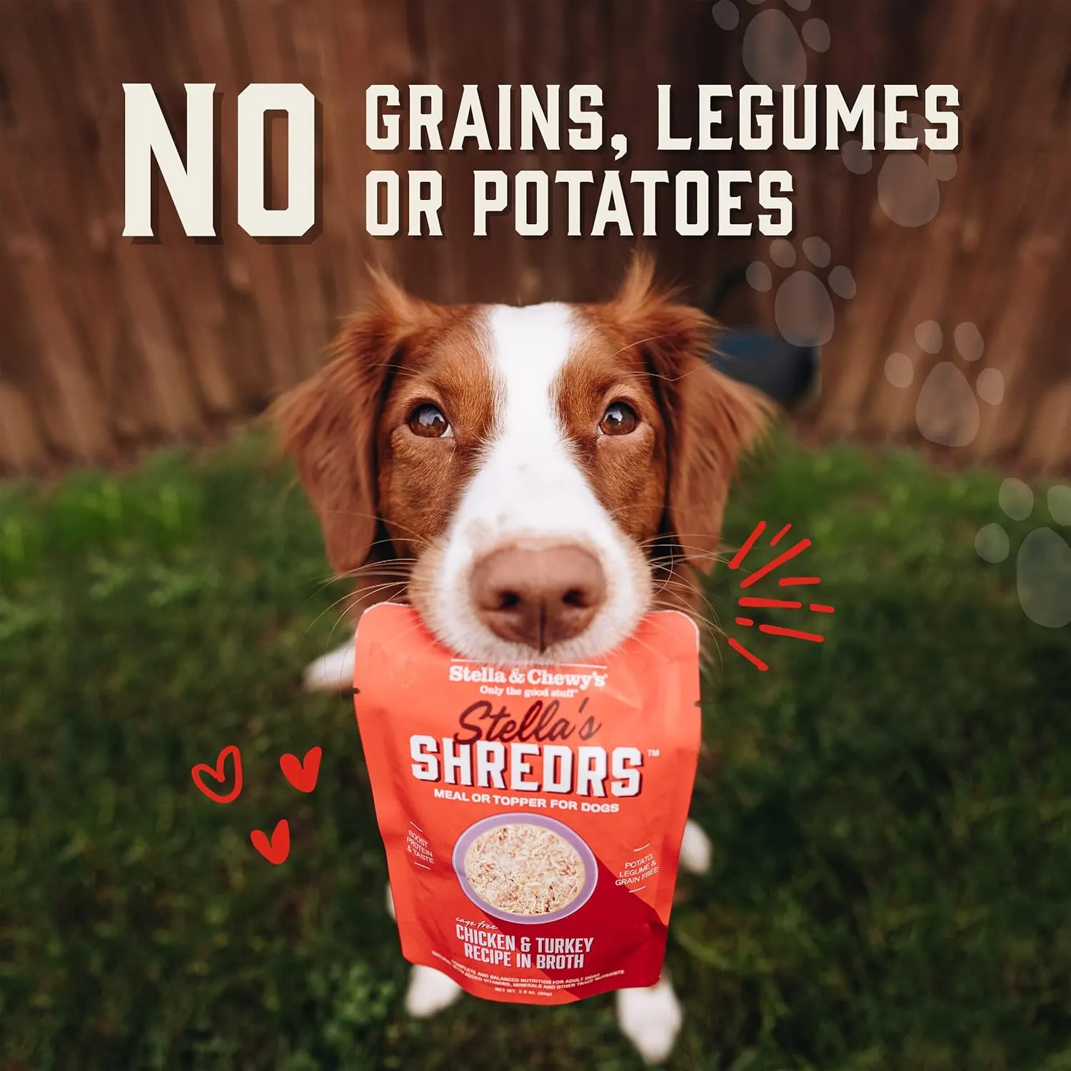 Stella & Chewy's Stella’s Shredrs Cage Free Chicken Recipe in Broth, 2.8 oz. Pouches (Pack of 24)