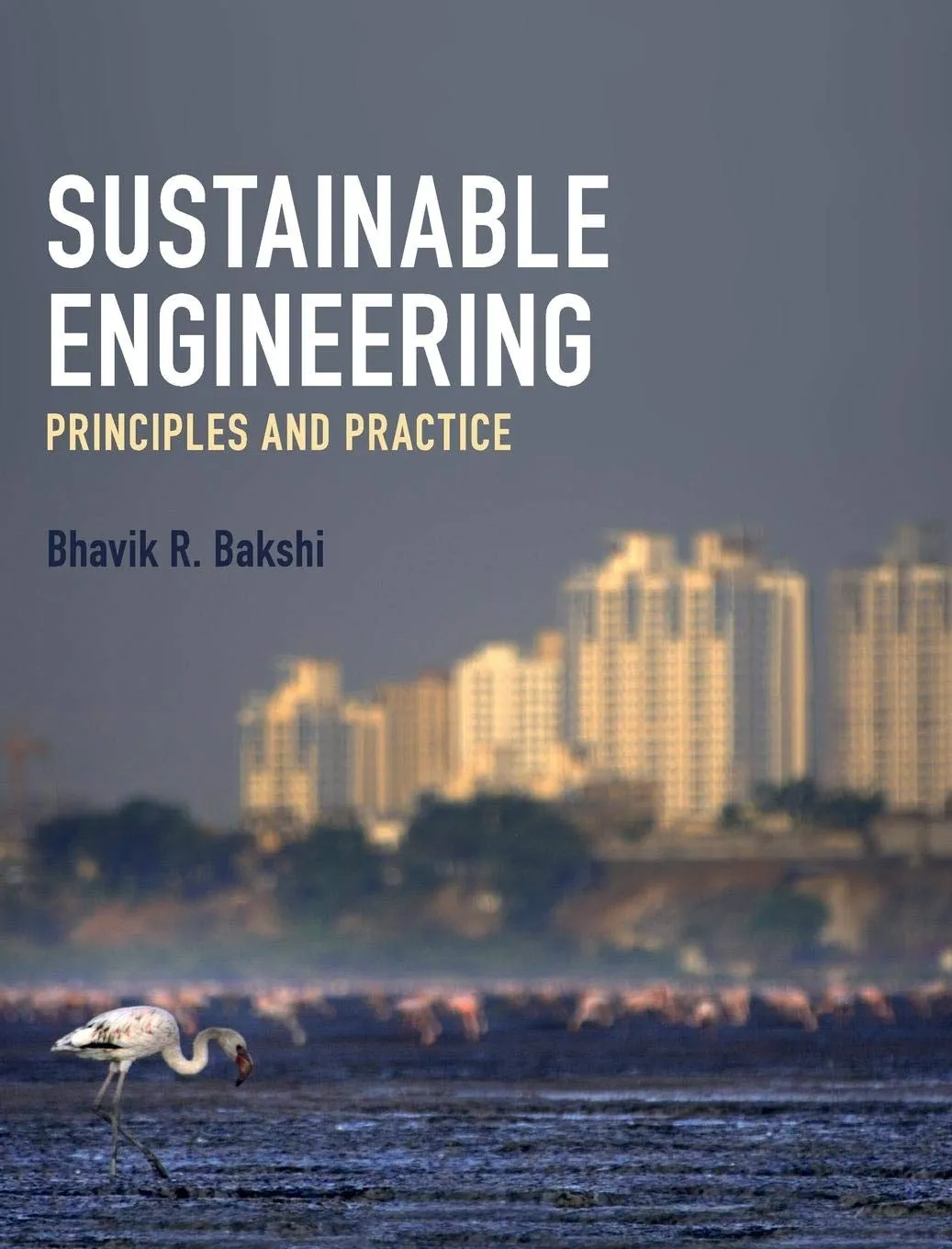 Sustainable Engineering: Principles and Practice 1st Edition