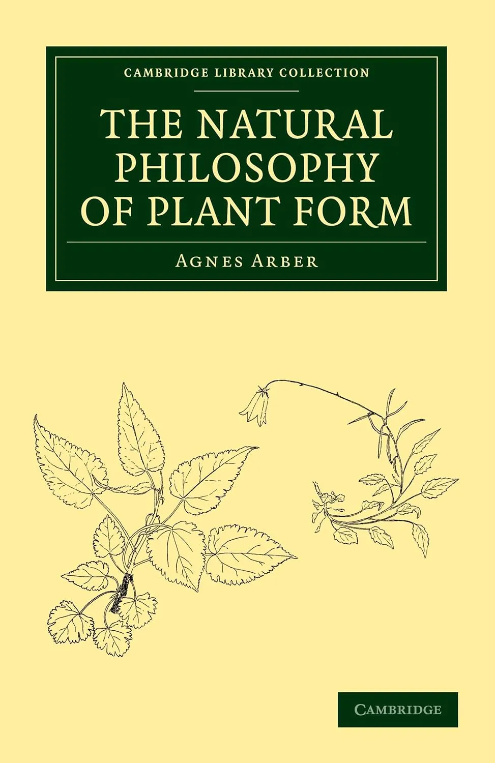 The Natural Philosophy of Plant Form (Cambridge Library Collection - Botany and Horticulture) 1st Edition