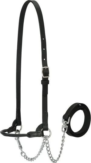 Weaver Leather Livestock Dairy Halter, Large, Black