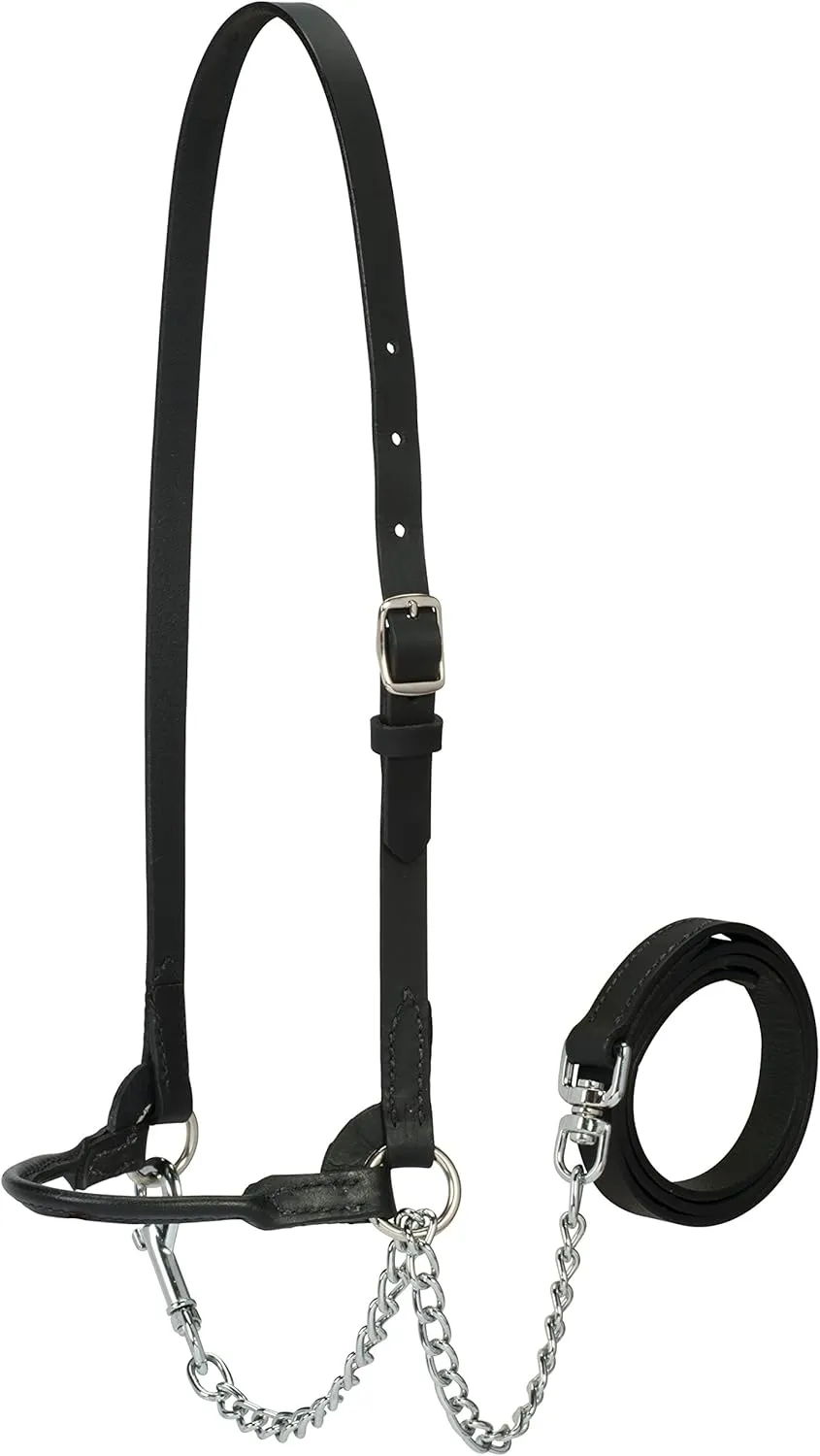 Weaver Leather Livestock Dairy Halter, Large, Black