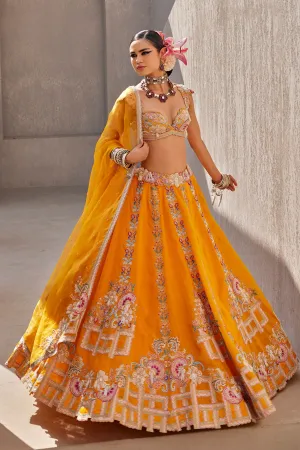 Zarira Lehenga Set