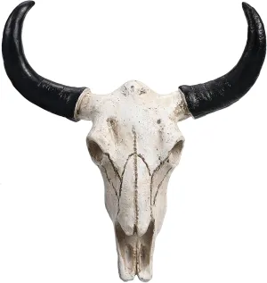 Zerodeko Cow Skulls Cow Skull Wall Hanging: Cow Skull Wall Hanging Bull Head Skull Wall Hanging Cow Skull Decor Cow Skull Wall Plaque for Wall Decor Bull Skull Decoration